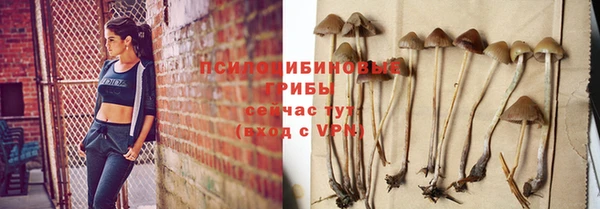 ГАЛЛЮЦИНОГЕННЫЕ ГРИБЫ Балабаново