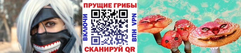 Галлюциногенные грибы Cubensis  blacksprut ТОР  Снежногорск 